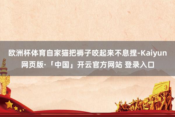欧洲杯体育自家猫把褥子咬起来不息捏-Kaiyun网页版·「中国」开云官方网站 登录入口