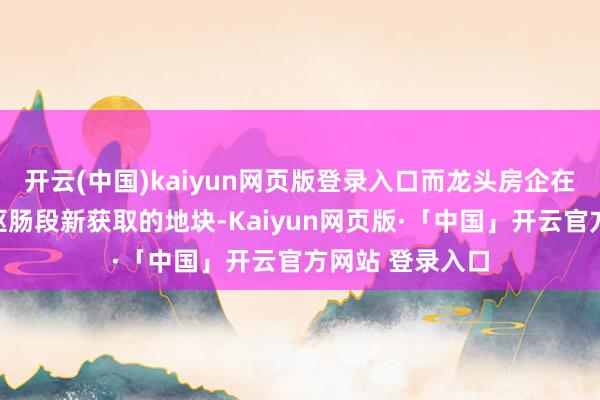 开云(中国)kaiyun网页版登录入口而龙头房企在中枢城市及中枢肠段新获取的地块-Kaiyun网页版·「中国」开云官方网站 登录入口