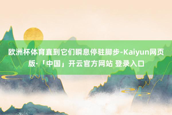 欧洲杯体育直到它们瞬息停驻脚步-Kaiyun网页版·「中国」开云官方网站 登录入口