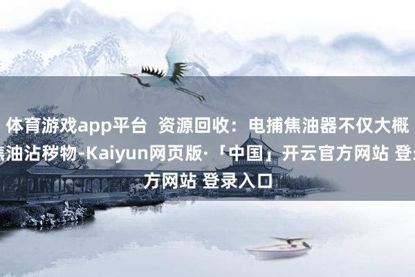 体育游戏app平台  资源回收：电捕焦油器不仅大概去除焦油沾秽物-Kaiyun网页版·「中国」开云官方网站 登录入口